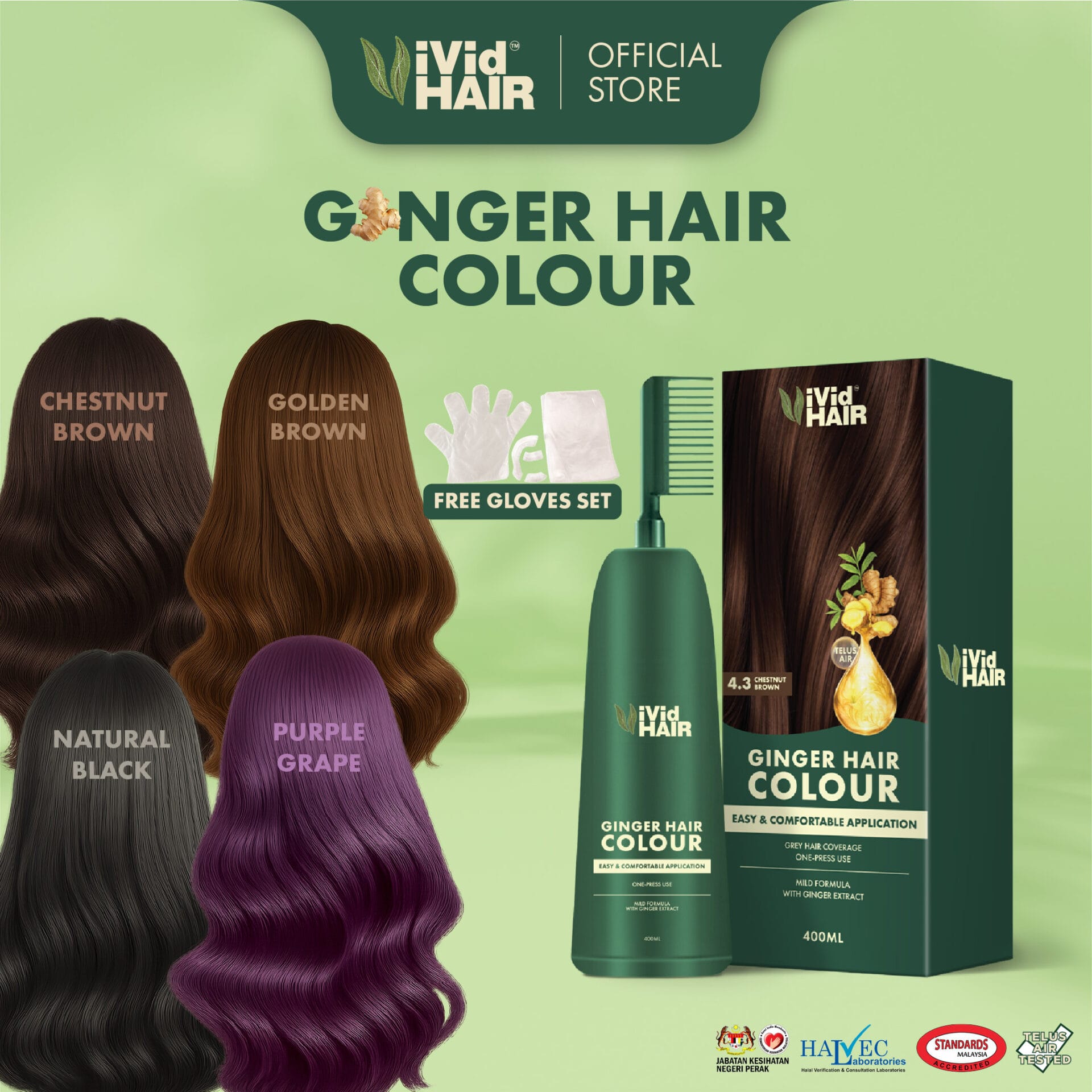 Ginger Hair Colour