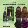 Ginger Warna Rambut Tutup Uban